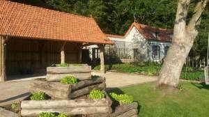 20140724_204956 (800x450)
