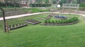 20140808_130209 (800x450)